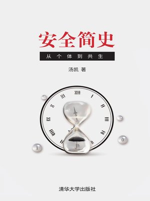cover image of 安全简史